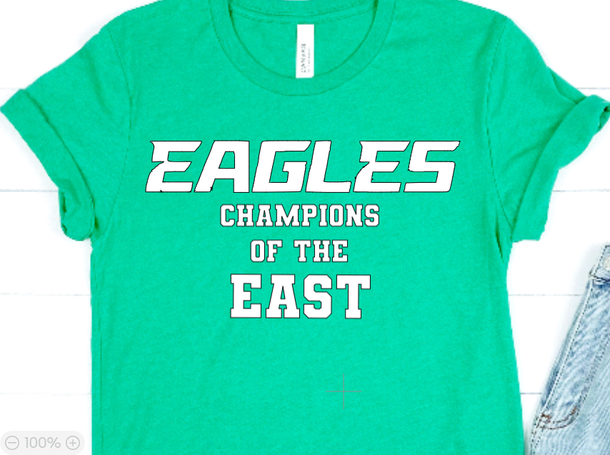 Philadelphia Eagles - the NFC East Division Champions