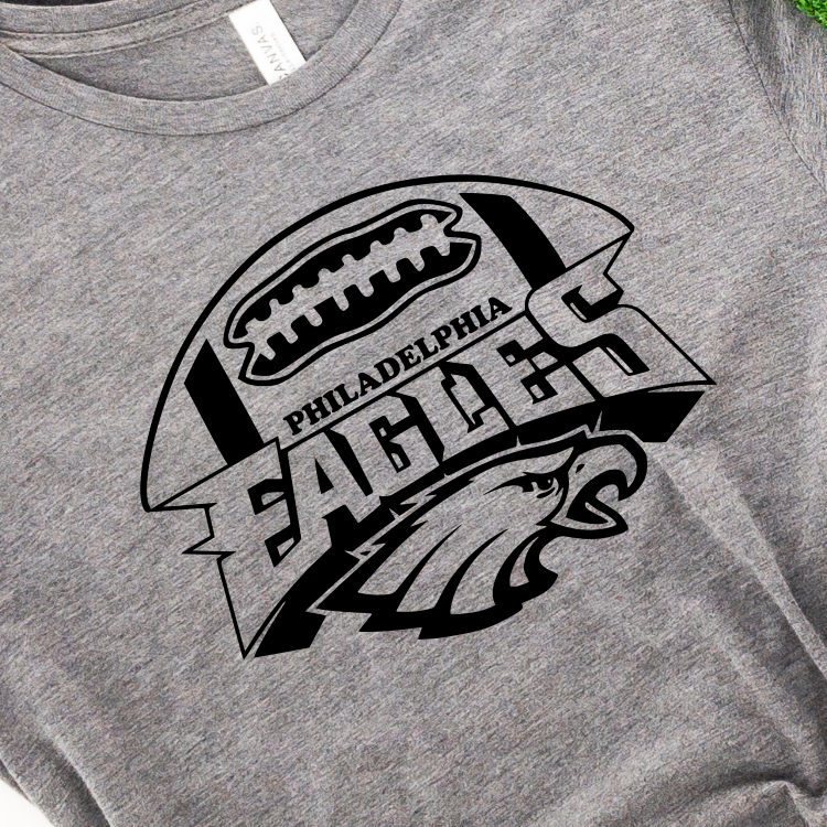 Philadelphia Eagles - the NFC Division Champions